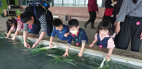 三星蔥農(nóng)夫體驗